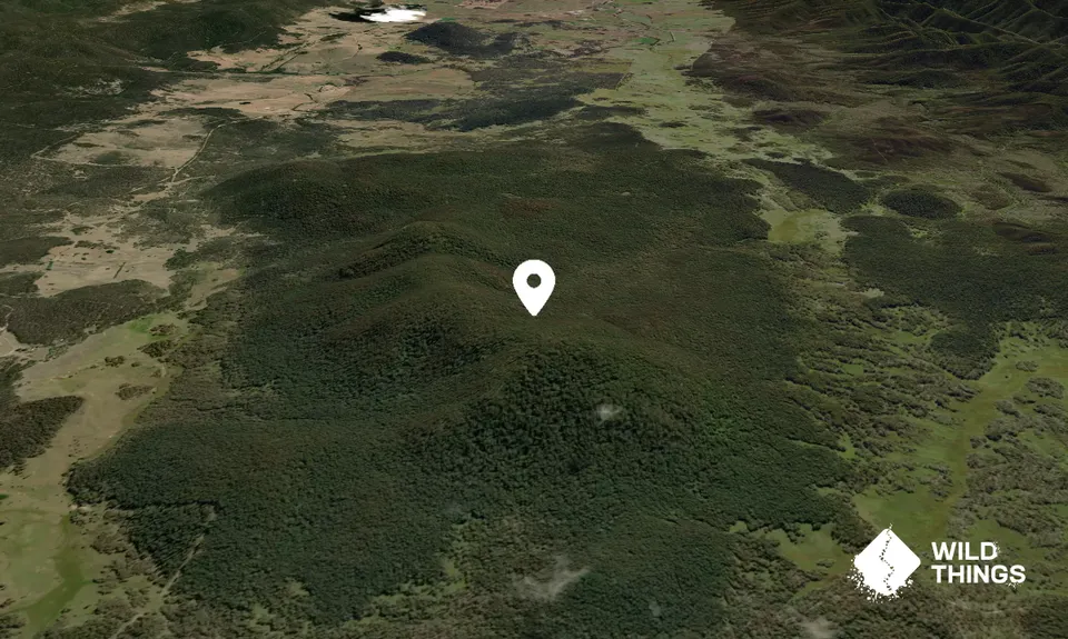Middle Mountain