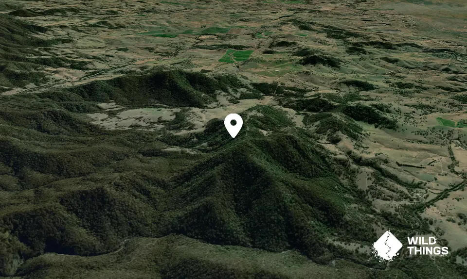Mount Bobendoura