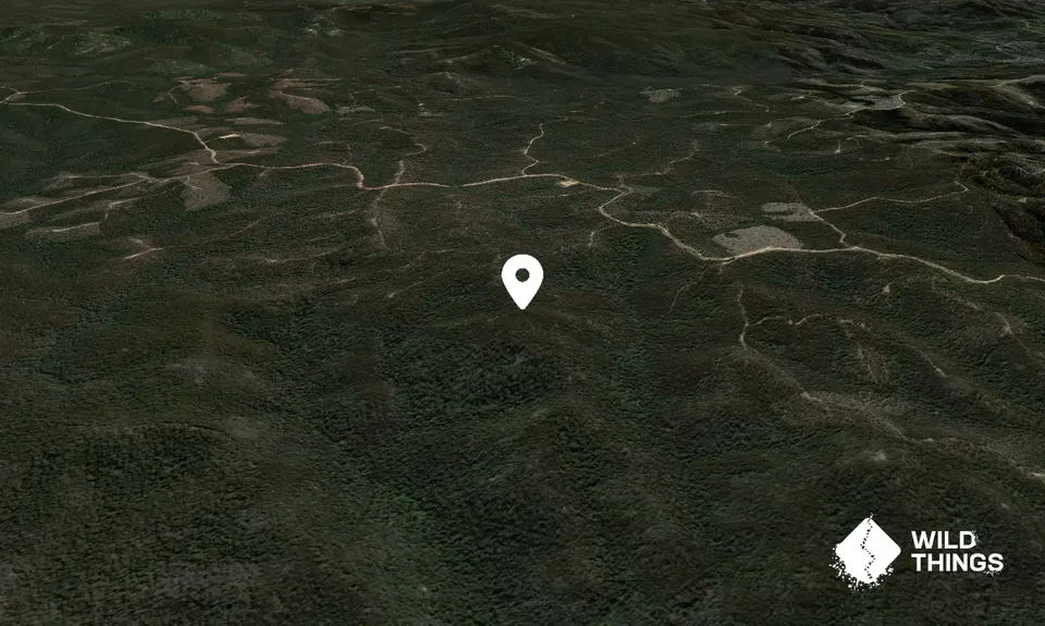 Mount Buckle