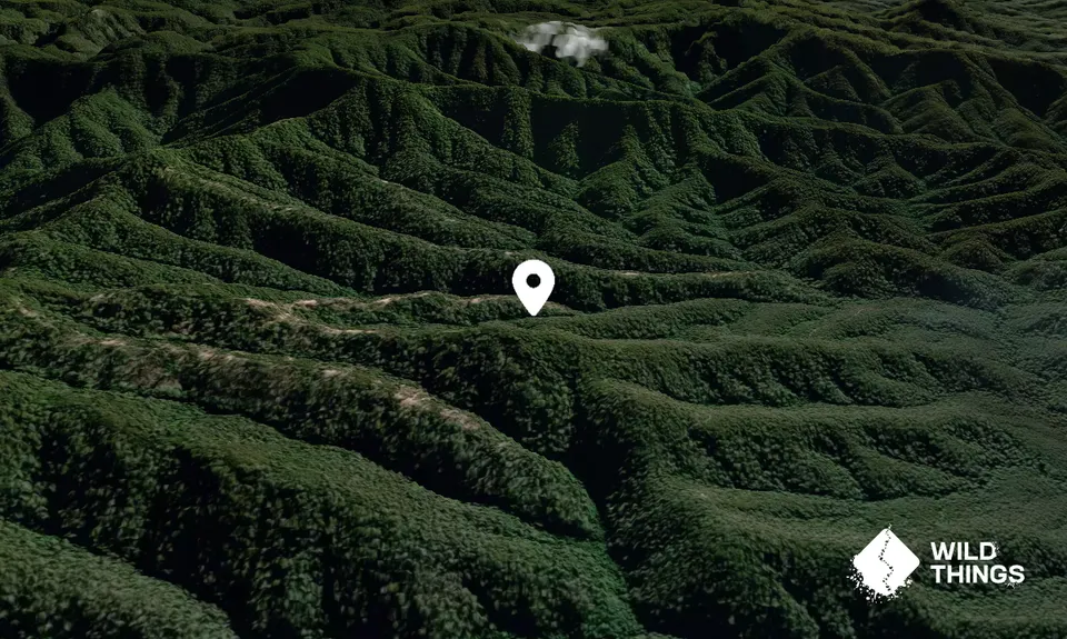 Mount Coman