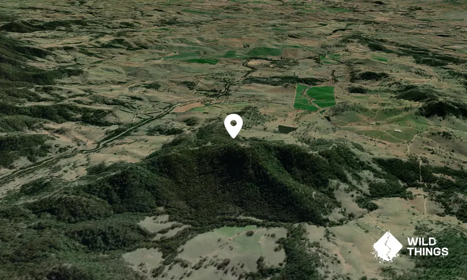 Mount Harriet