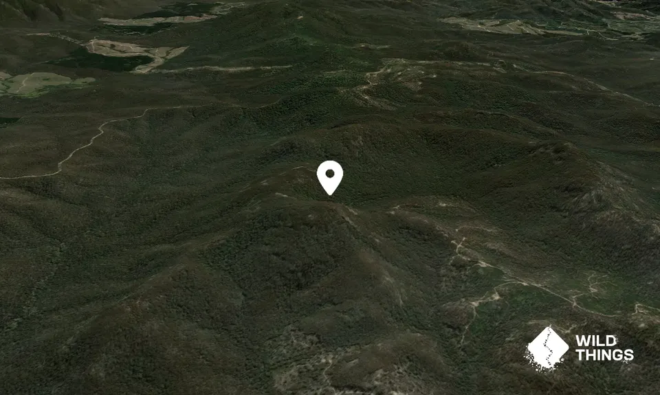 Mount Poole