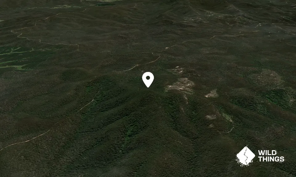 Mount Waalimma