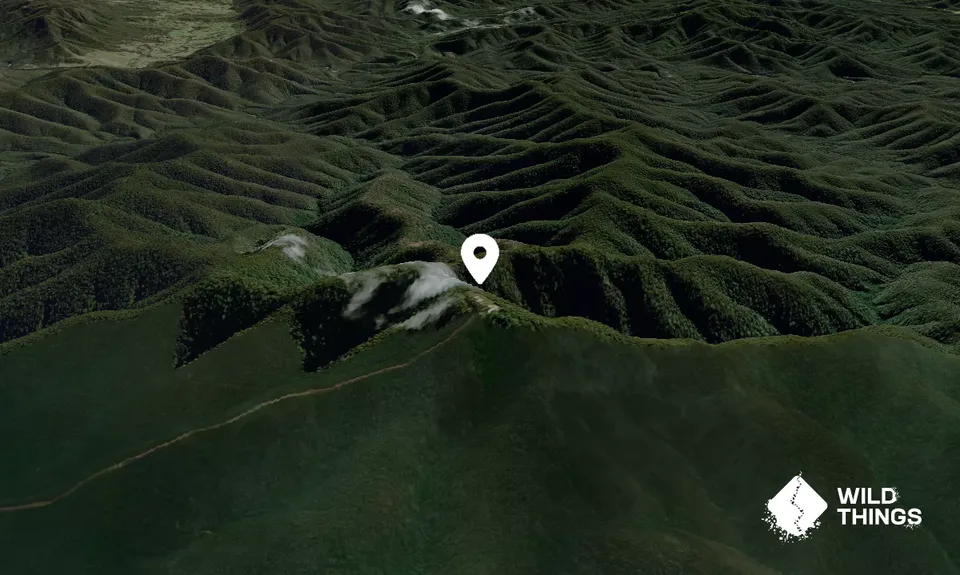 Peak Alone