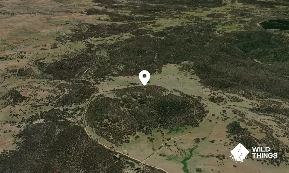 Thoko Hill