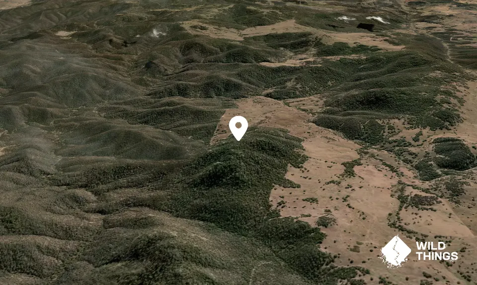 Wallaby Hill