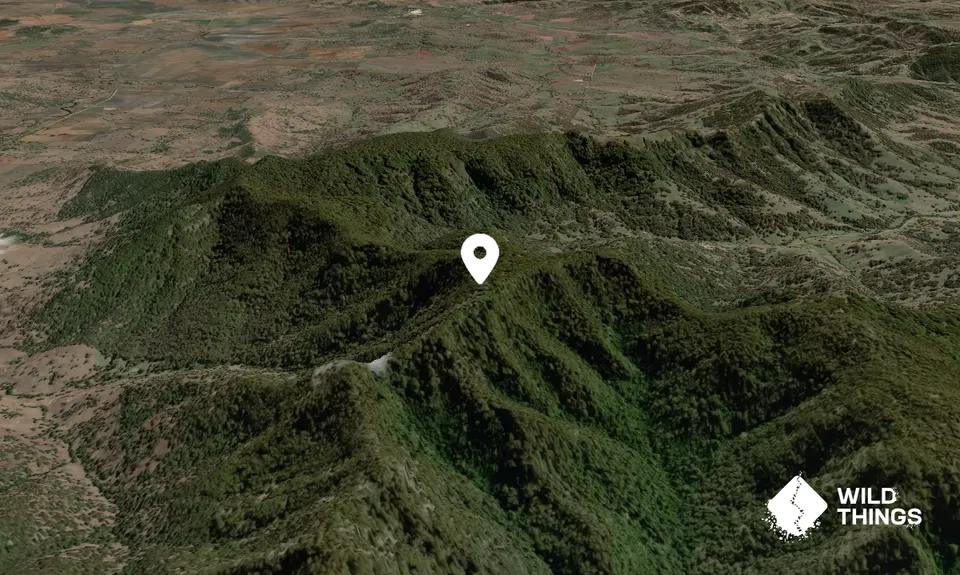Bald Hill