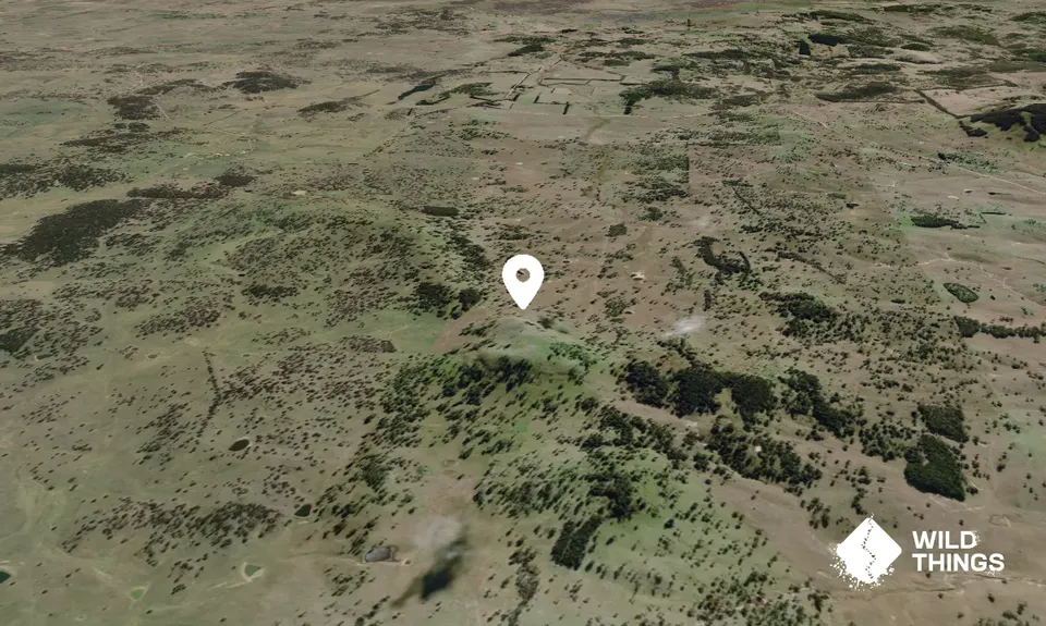 Bald Knob