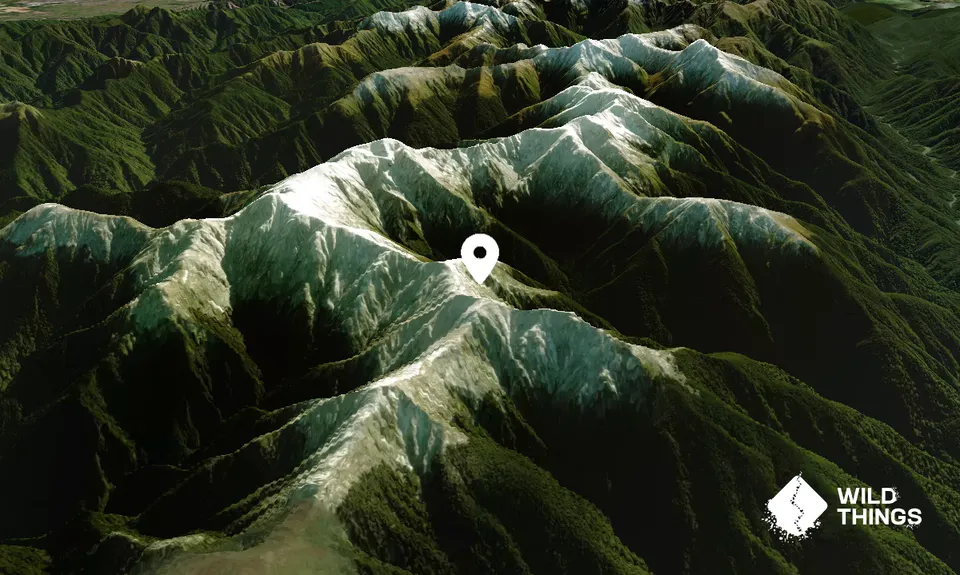 Jumbo/Pukeahurangi