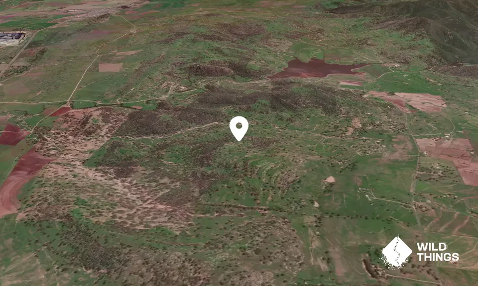 Big Dog Hill
