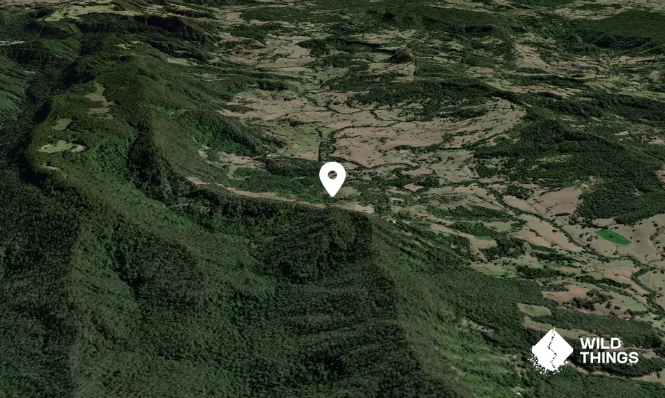 Billygoat Mountain