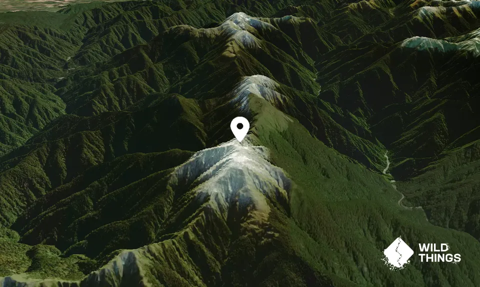 Aokaparangi