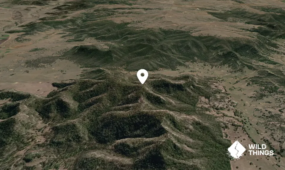 Black Jack Mountain