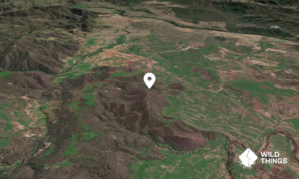 Black Mountain