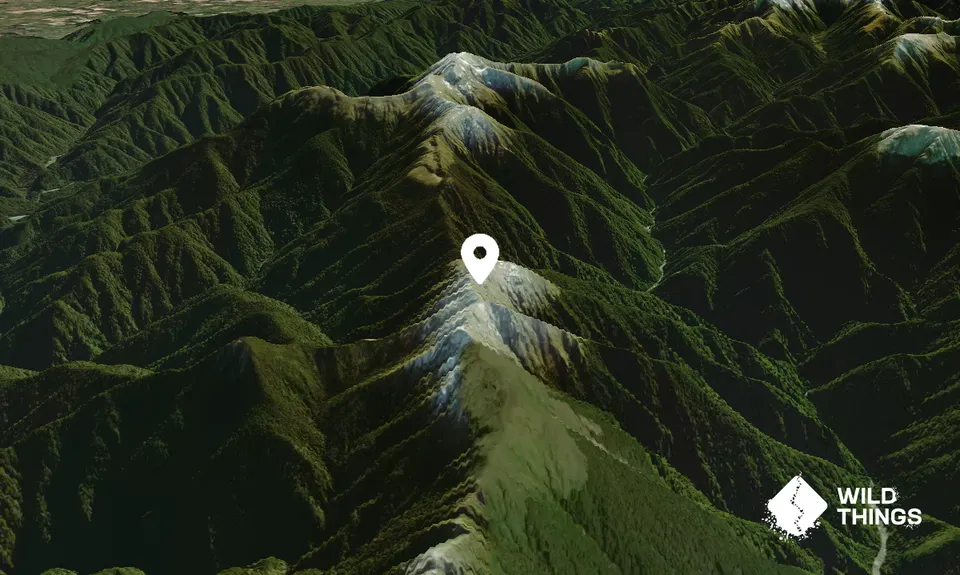 Kahiwiroa