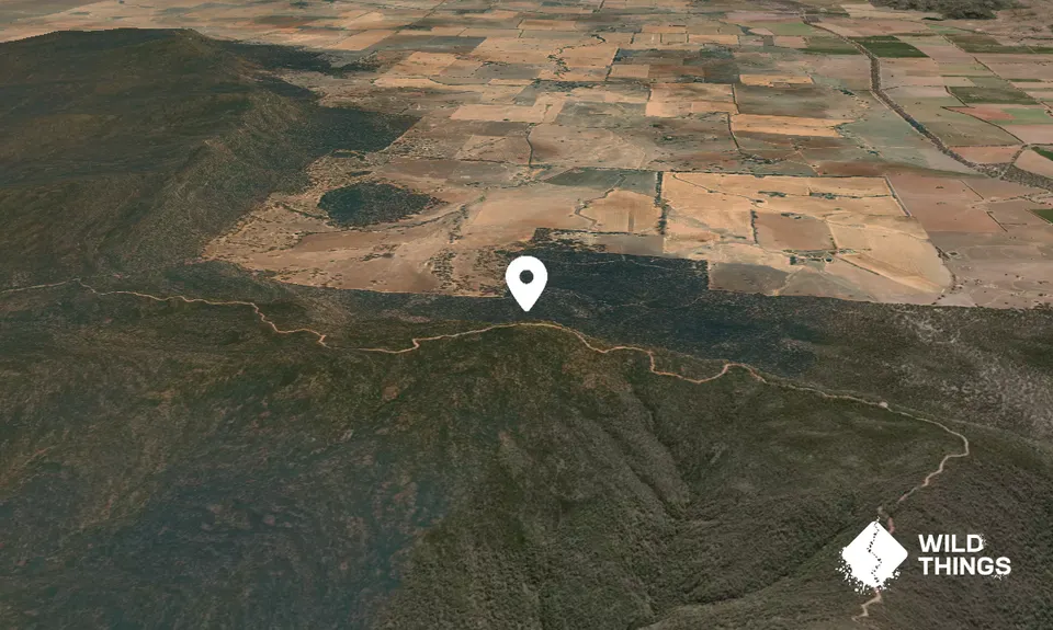 Black Springs Mountains