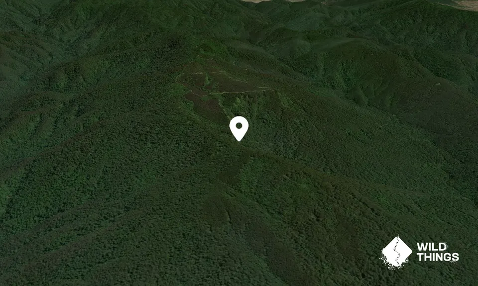 Boorers Knob