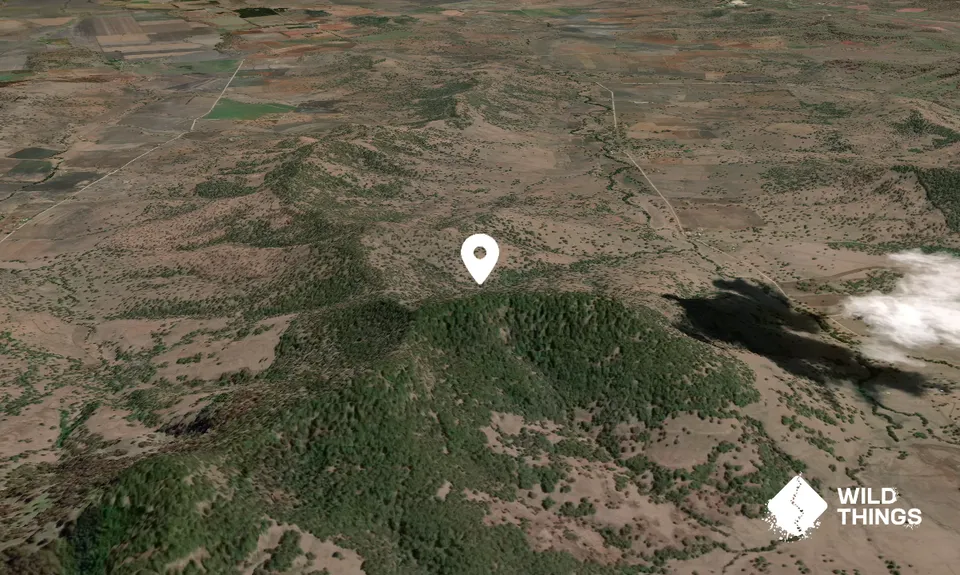 Brees Mountain