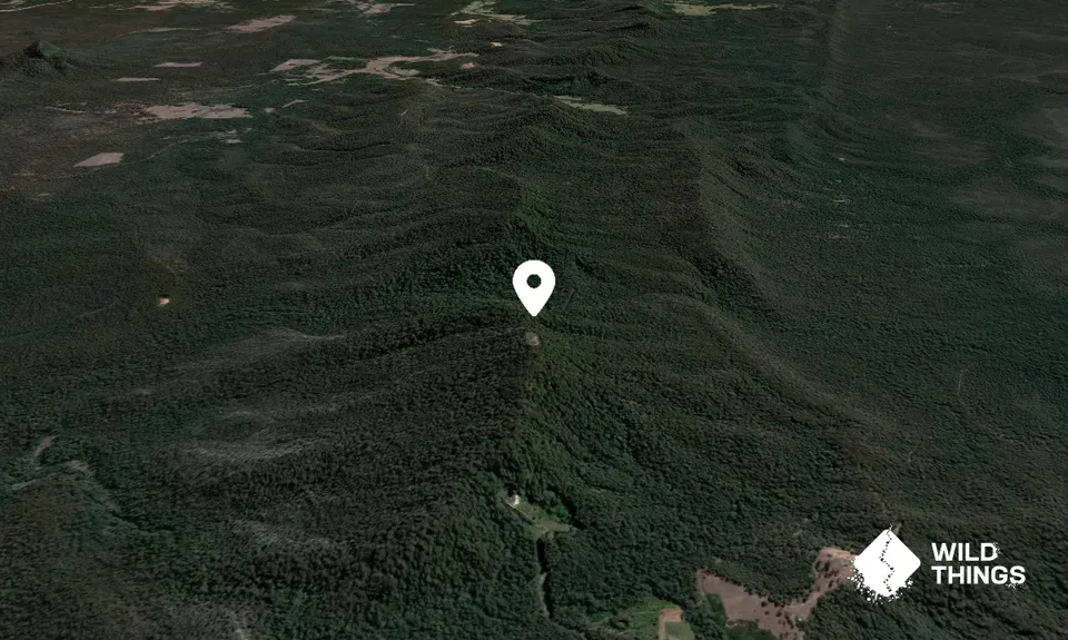 Browns Knob