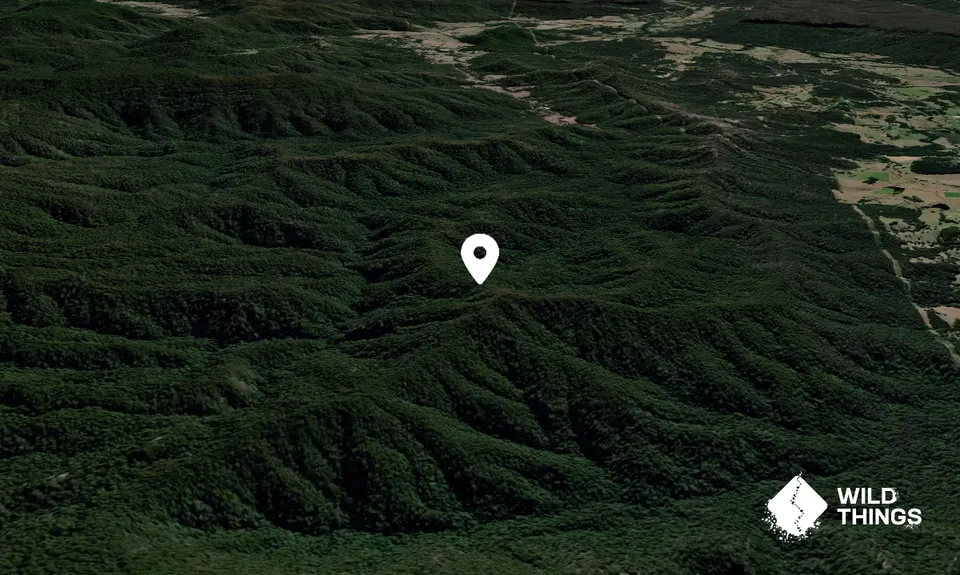 Caledonian Knob