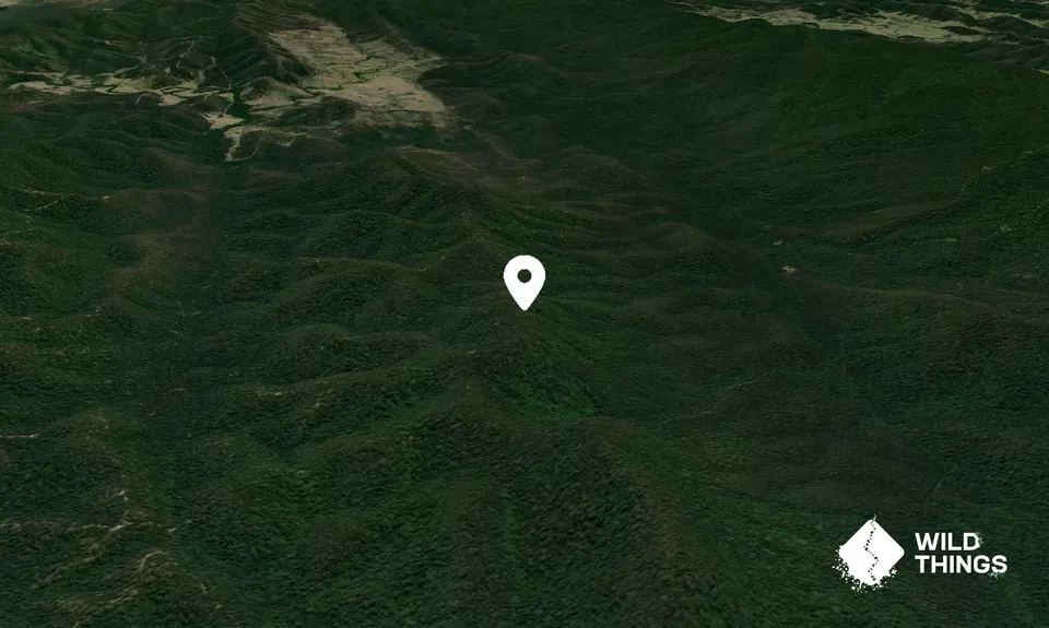Conical Mountain