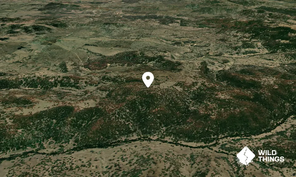 Cooks Mountain