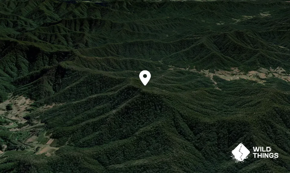 Crooked Top Mountain