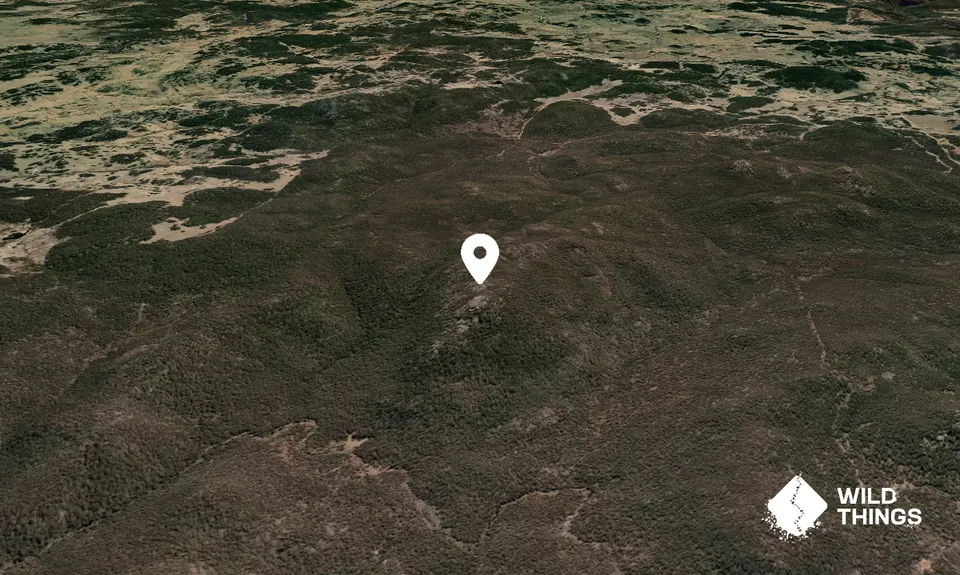 Crown Mountain