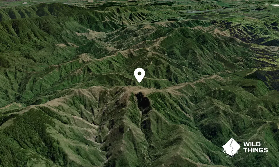 Makara