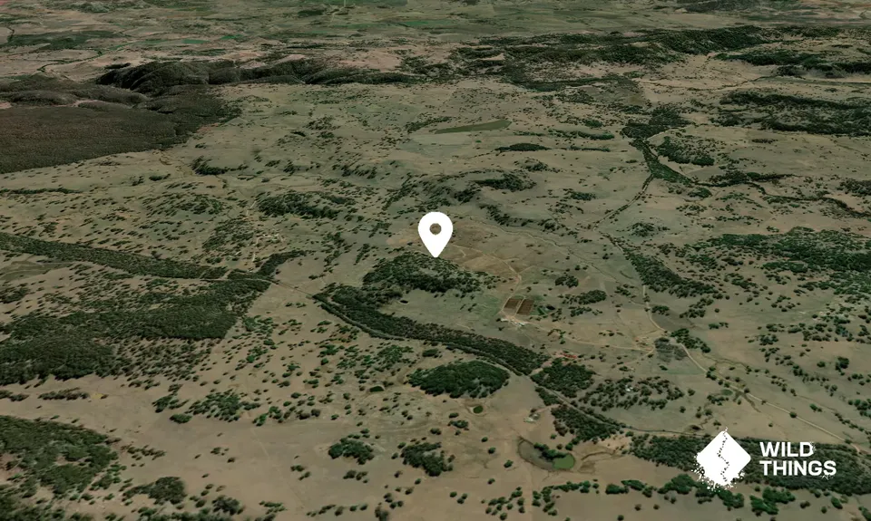 Death Adder Hill