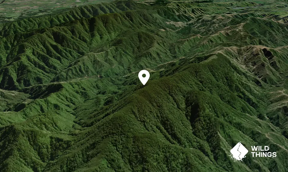 Mount Ross