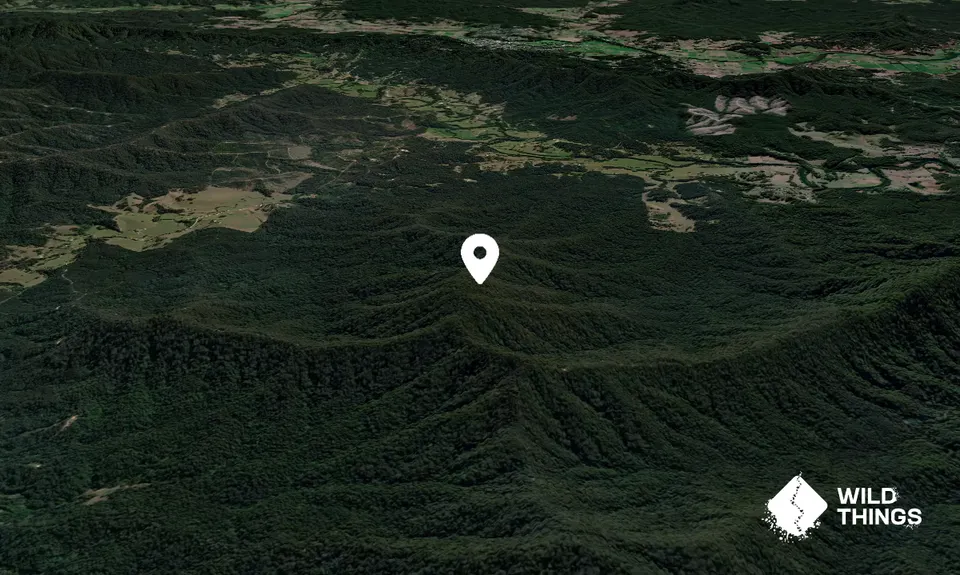 Edwards Knob