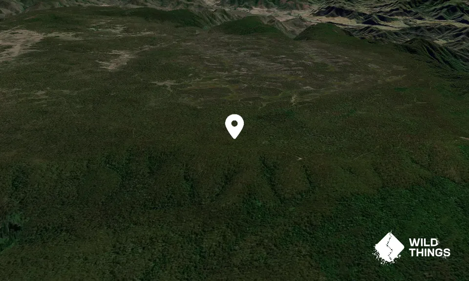 Feltons Knob