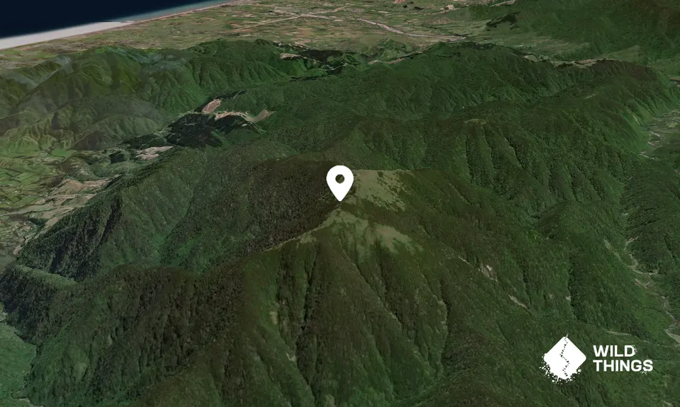 Kapakapanui