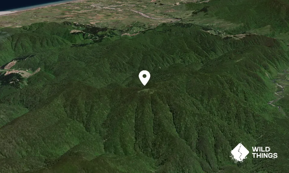 Pukeatua