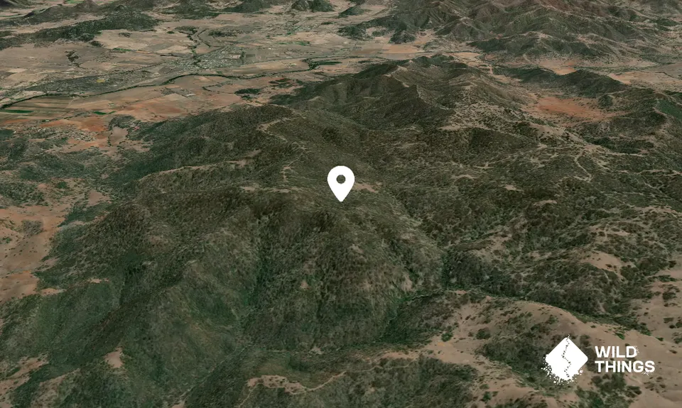 Goat Mountain