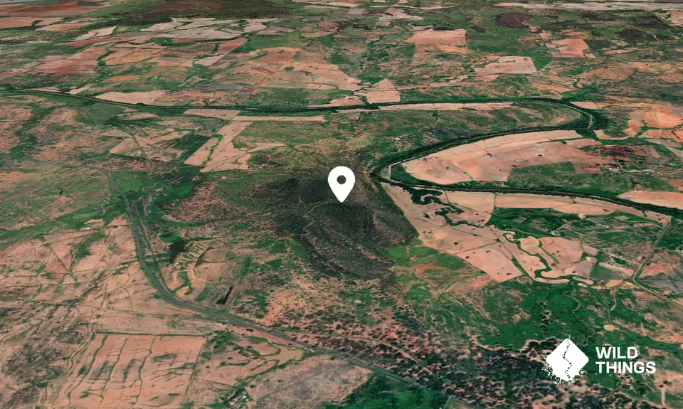 Gravesend Mountain