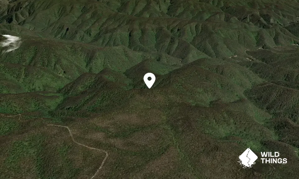 Hub Mountain