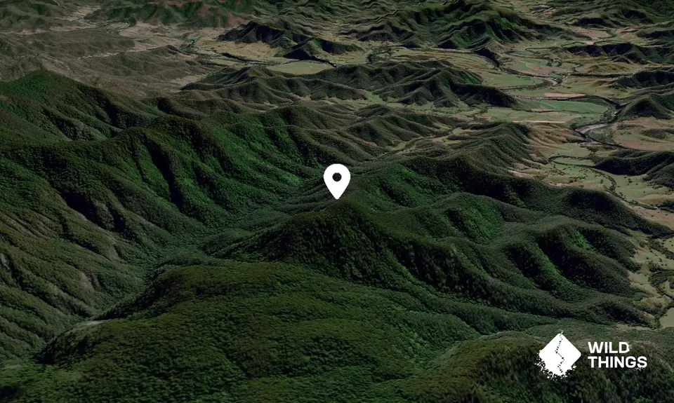 Junction Knob