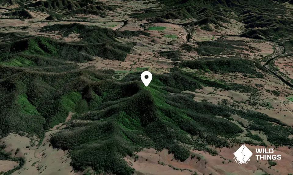 Kerrs Hill