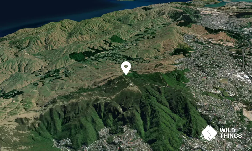 Kaukau