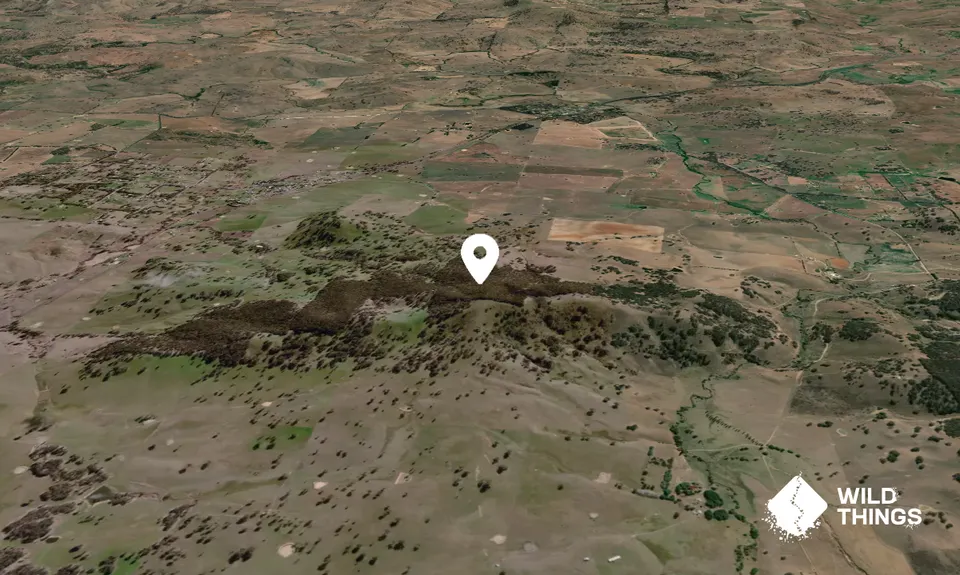 Learys Hill