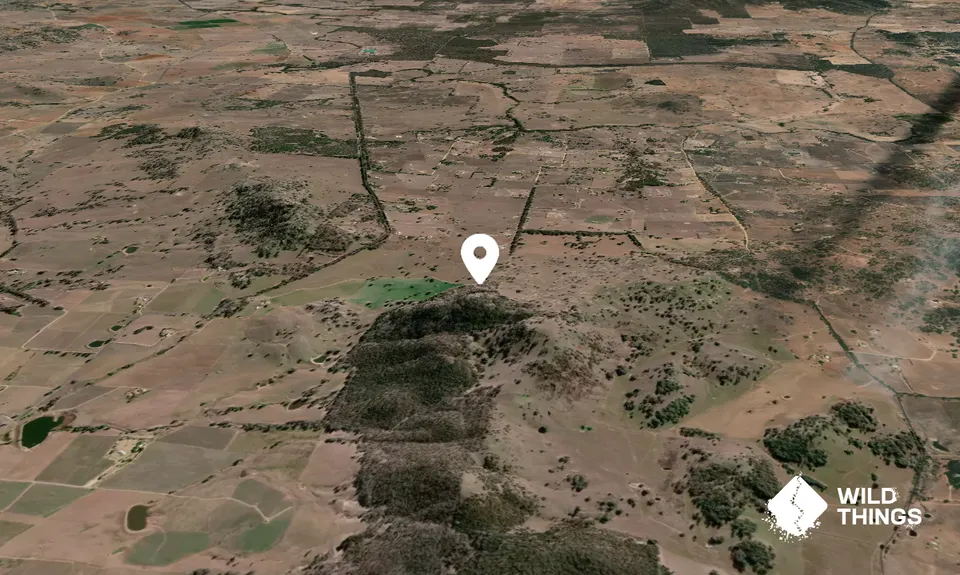 Lowes Peak
