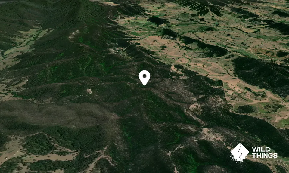 Monkerai Mountain