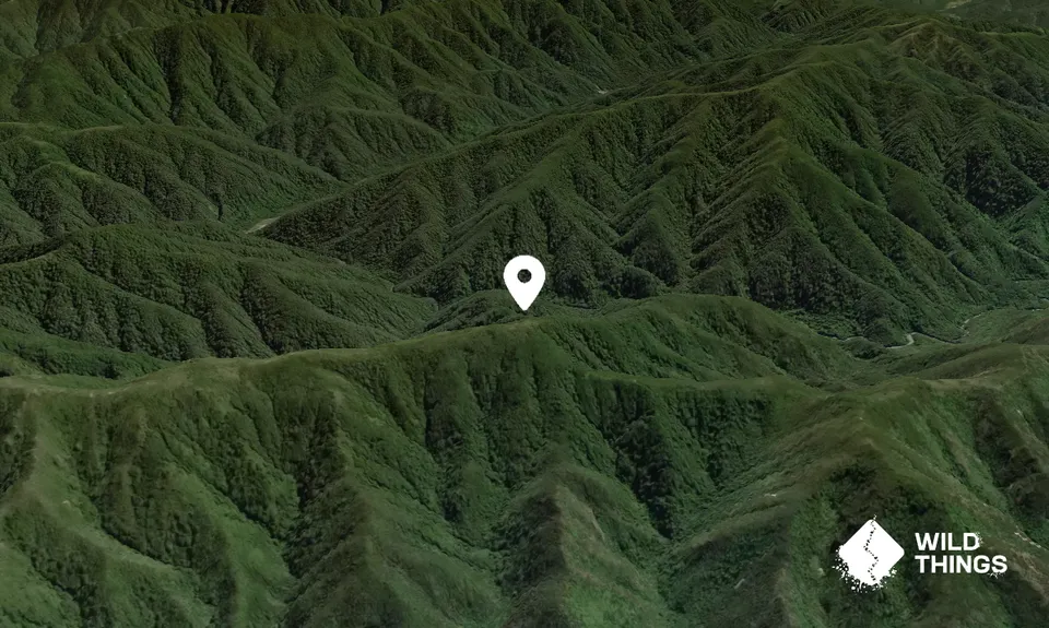 Mount Frith