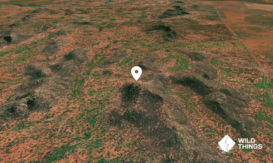 Mount Allen