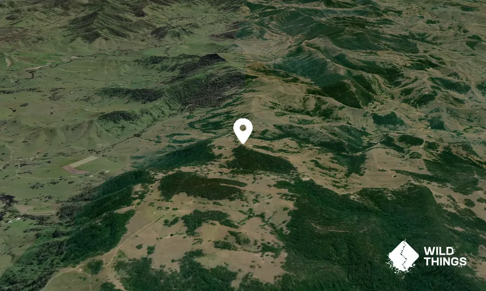 Mount Ararat
