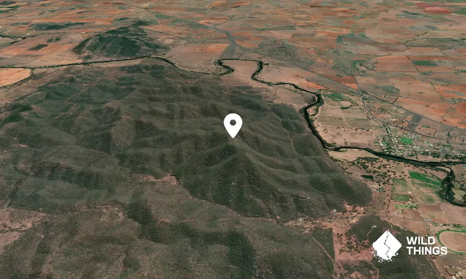 Mount Arthur