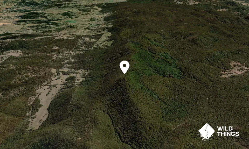Mount Bajimba