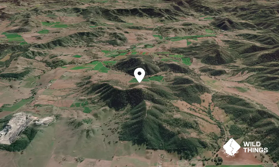 Mount Baldy